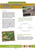 Fiche pratique "la rotation des cultures au potager"